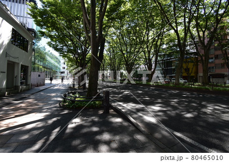 宮城　仙台市　定禅寺通り　メディアテーク　周辺の風景 80465010