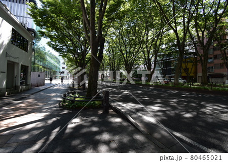宮城　仙台市　定禅寺通り　メディアテーク　周辺の風景 80465021