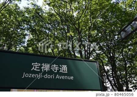 宮城 仙台市 定禅寺通り メディアテーク 周辺の風景 宮城 仙台市 定禅寺通り メディアテーク 周辺の風景 80465056