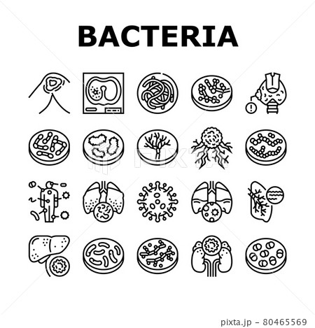 Bacteria Infection Collection Icons Set Vector 80465569