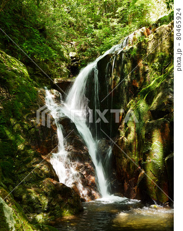 鳴海の滝、下段の滝 80465924