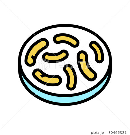 gut bacteria color icon vector illustration 80466321