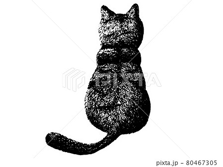 猫の後ろ姿のペン画 80467305