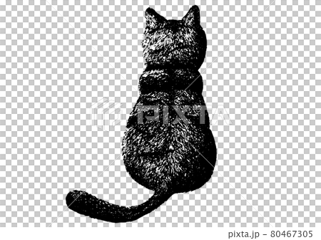 猫の後ろ姿のペン画 80467305