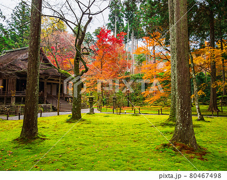 秋の京都 三千院 秋の京都 三千院 80467498