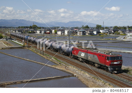 強風の栃木県内を行く、EH500形牽引の貨物列車 80468517