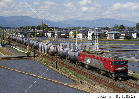 強風の栃木県内を行く、EH500形牽引の貨物列車 強風の栃木県内を行く、EH500形牽引の貨物列車 80468518