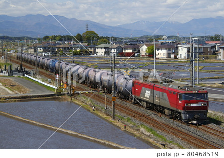 強風の栃木県内を行く、EH500形牽引の貨物列車 80468519