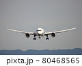 着陸するドリームライナー 80468565