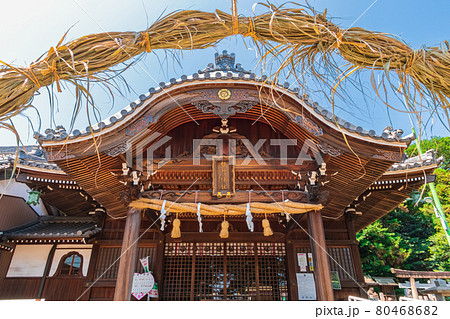 熊野神社、夏の茅の輪神事〈愛知県東海市〉 80468682