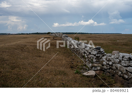 A limestone wall in a moor landscape A limestone wall in a moor landscape 80469921