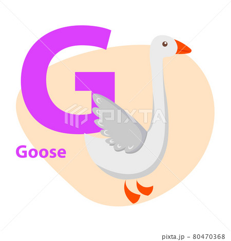 Zoo ABC Letter with Cute goose Cartoon Vector 80470368