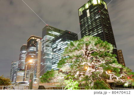 大阪の夜景 田簑橋からのビル群と蛸の松 大阪の夜景 田簑橋からのビル群と蛸の松 80470412