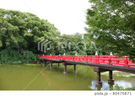 大阪 天王寺公園 河底池 和気橋 80470871