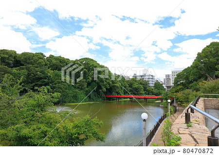 大阪 天王寺公園 河底池 80470872