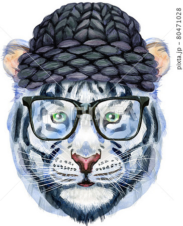 Colorful white tiger in a knitted black hat and glasses. Wild animal watercolor illustration on white background 80471028