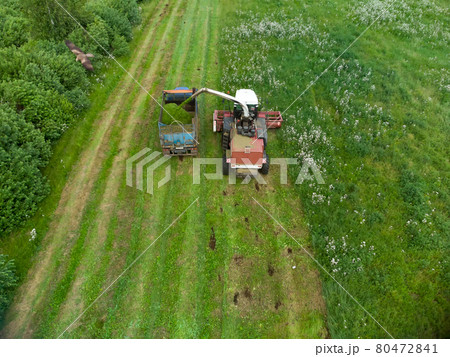 Combine working on the large agricultural field Combine working on the large agricultural field 80472841