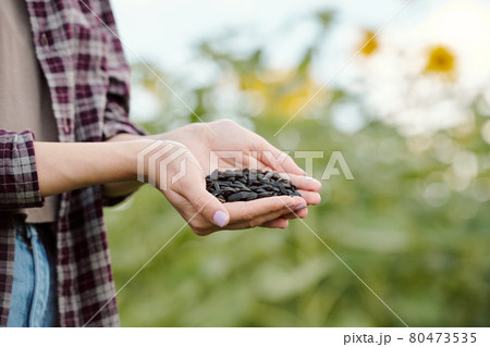 Mature brunette female in beanie and casualwear taking fresh sunflower seeds Mature brunette female in beanie and casualwear taking fresh sunflower seeds 80473535