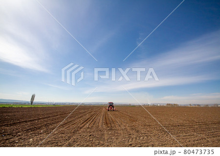 tractor sowing of seed to field at spring time 80473735