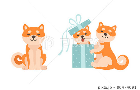 Cute Shiba Inu Dog Activities Set, Adorable Akita Inu Family Cartoon Vector Illustration Cute Shiba Inu Dog Activities Set, Adorable Akita Inu Family Cartoon Vector Illustration 80474091