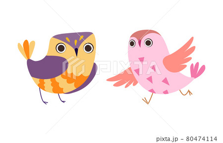 Funny Adorable Colorful Owl Birds Set, Lovely Owlets Cartoon Vector Illustration 80474114