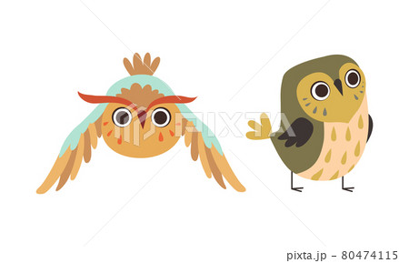Funny Owl Birds Set, Cute Lovely Owlets Cartoon Vector Illustration 80474115