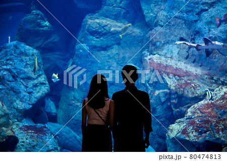 水族館デートで魚や生き物を観覧する若いカップル 水族館デートで魚や生き物を観覧する若いカップル 80474813