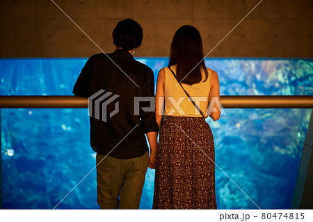 水族館デートで魚や生き物を観覧する若いカップル 80474815