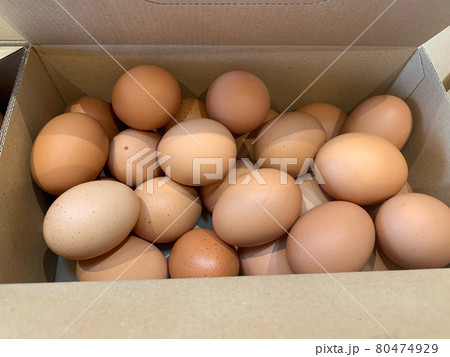 卵　地卵　なまたまご　エッグ　にわとり　卵焼き　たまご　玉子  80474929