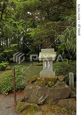 穂高神社(安曇野) 穂高神社(安曇野) 80474976