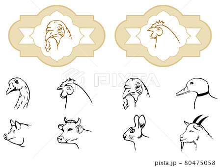 agriculture animal 80475058