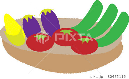 トマトやなすやとうもろこしときゅうりの夏野菜のイラスト素材