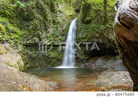 御岳山ロックガーデン下流に有る七代の滝スローシャッター 御岳山ロックガーデン下流に有る七代の滝スローシャッター 80475695