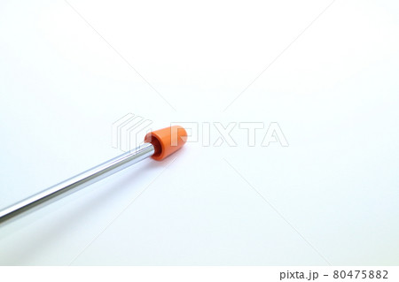 指示棒で勉強するイメージの素材 80475882
