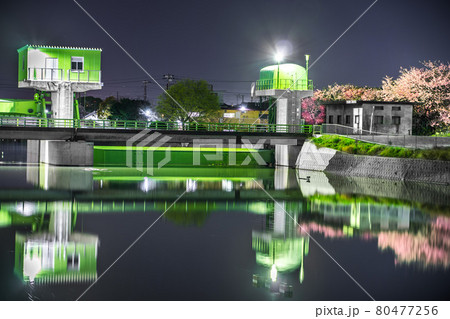 二級河川 水尾川土手沿いの水門と夜桜(兵庫県姫路市飾磨区今在家)※作品コメント欄に撮影位置 二級河川 水尾川土手沿いの水門と夜桜(兵庫県姫路市飾磨区今在家)※作品コメント欄に撮影位置 80477256