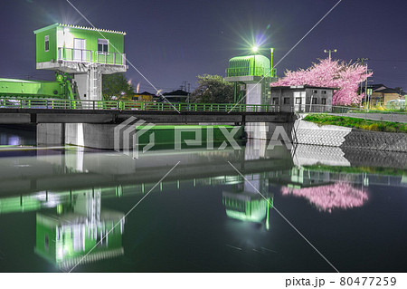 二級河川　水尾川土手沿いの水門と夜桜（兵庫県姫路市飾磨区今在家）※作品コメント欄に撮影位置 80477259