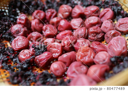 梅干しつくり　自家製　 80477489