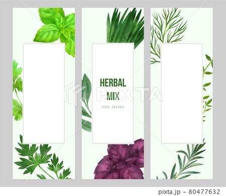 Summer veggies banner, hand drawn vector watercolor illustration Summer veggies banner, hand drawn vector watercolor illustration 80477632