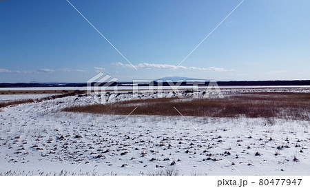 網走の冬の濤沸湖 網走の冬の濤沸湖 80477947