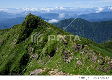 夏空と谷川岳トマの耳 80478032