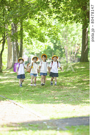 ランドセルを背負って通学する小学生 ランドセルを背負って通学する小学生 80478147