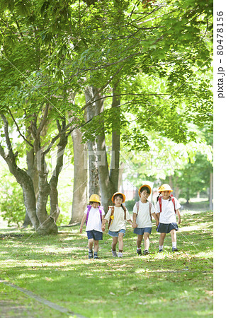 ランドセルを背負って通学する小学生 80478156