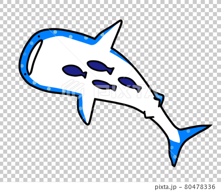 コバンザメ付き 下から見たジンベイザメのイラストのイラスト素材