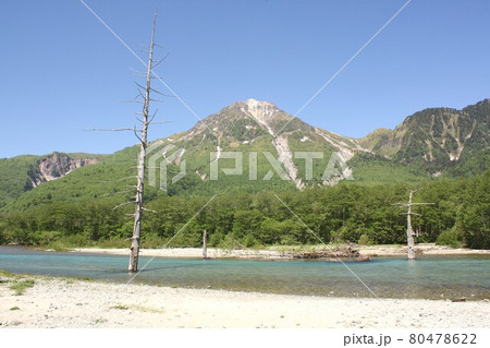 信州上高地、春の新緑に包まれた上高地の大正池と背景に見える焼岳 80478622