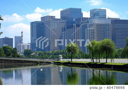白鳥のいる二重橋前のお濠と丸の内、大手町ビル群 白鳥のいる二重橋前のお濠と丸の内、大手町ビル群 80478666