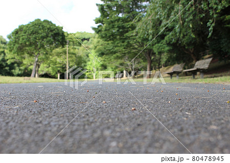 背景_バック_テクスチャ_730_公園 80478945