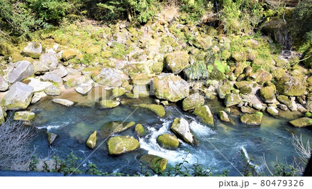 のどかな天降川周辺風景　霧島温泉郷　日向山温泉　鹿児島県 80479326