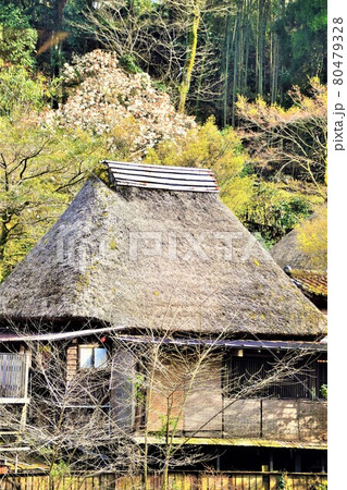 のどかな天降川周辺風景　霧島温泉郷　日向山温泉　鹿児島県 80479328