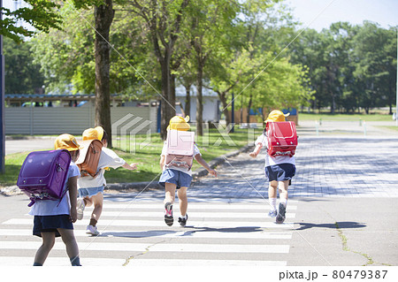 横断歩道を渡る小学生4人 80479387