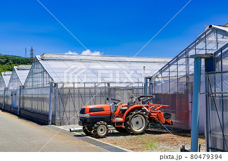 農業イメージ　ビニールハウスとトラクター 80479394